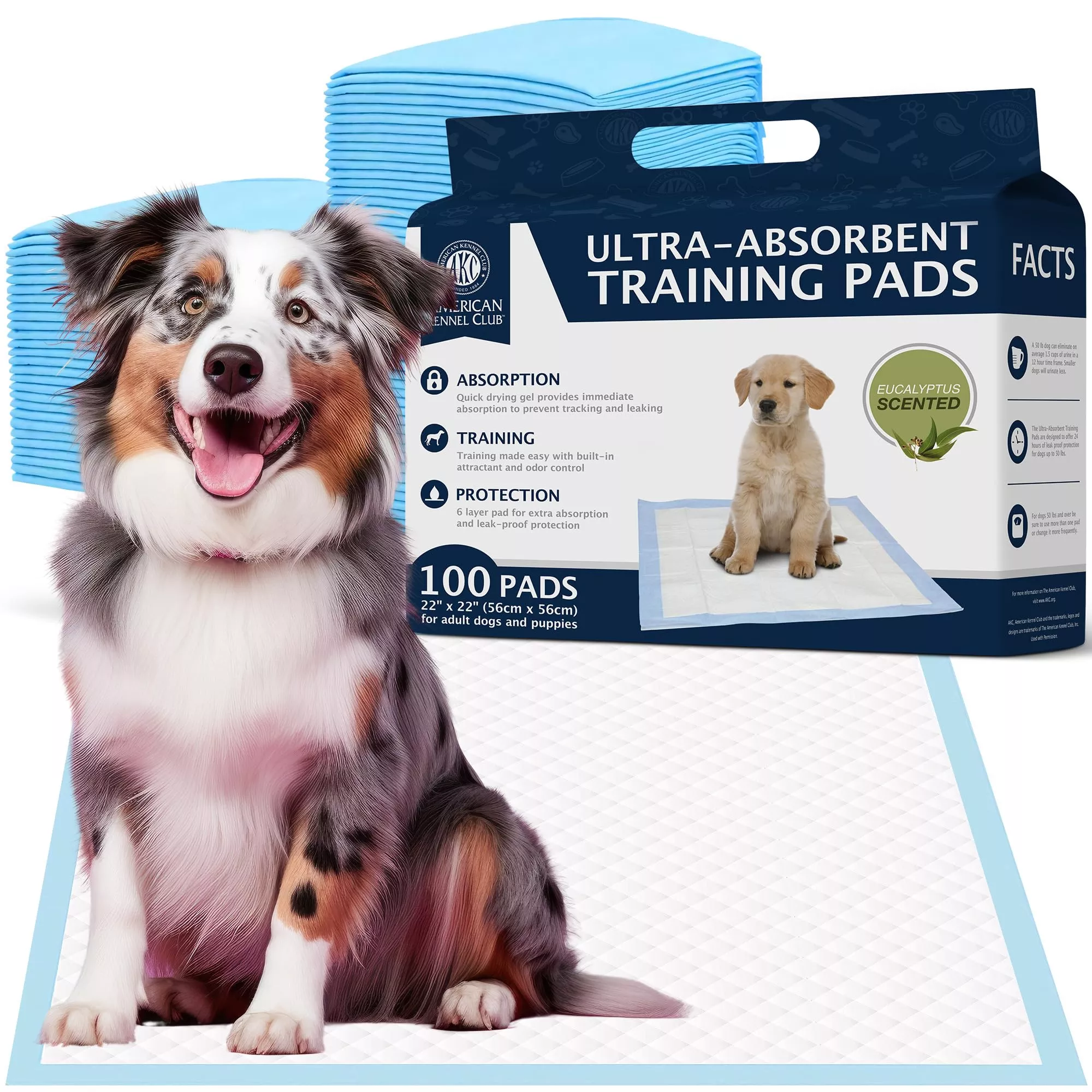 AMERICAN KENNEL CLUB AKC62975 6-Layer Leak-proof Puppy Training Pads - 22x22 Inches, Green, Synthetic, Disposable-Pet-Training-P