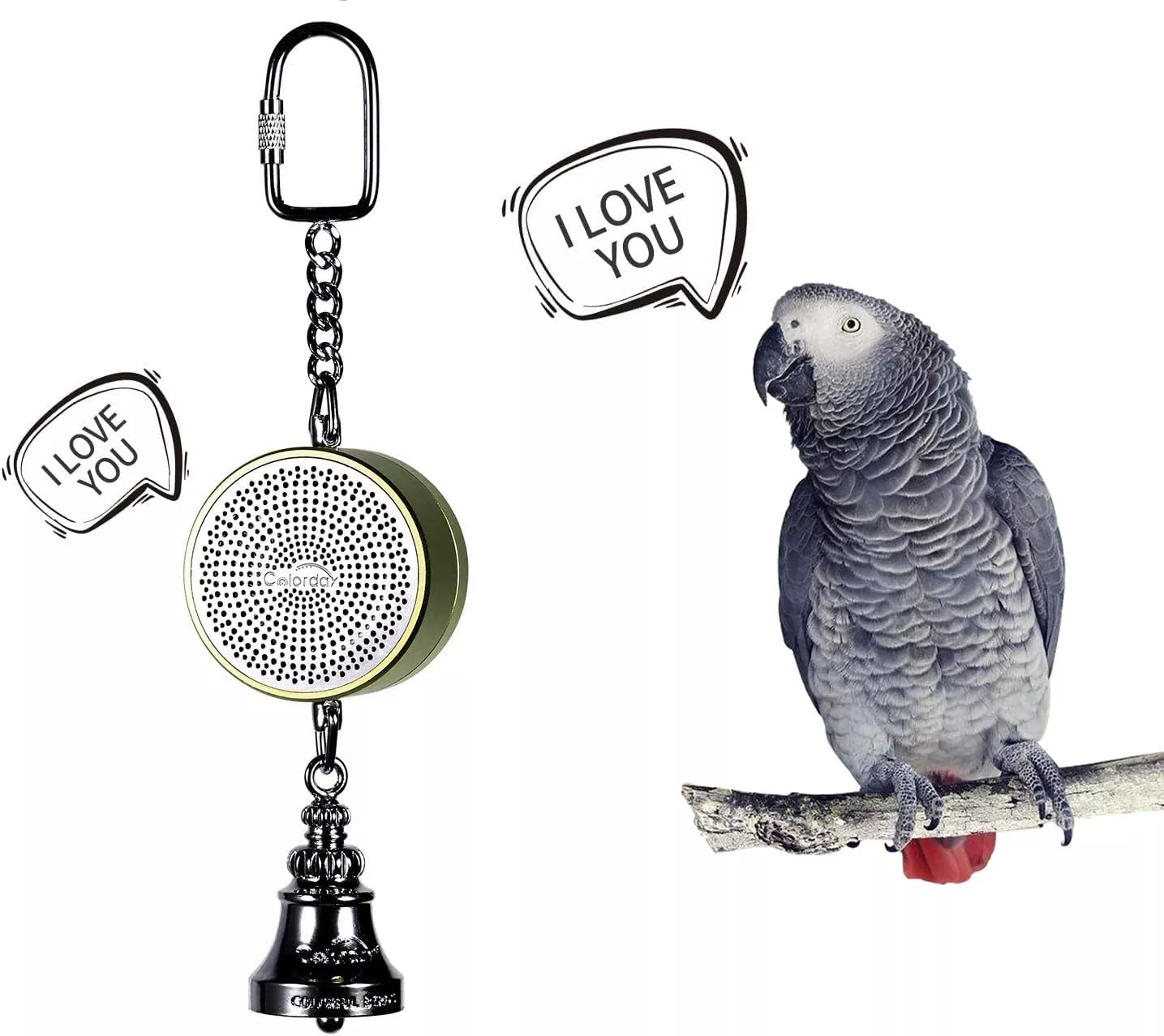 Colorday Bird Toys Parrot Talking Coach & Interactive Voice Bell For Parakeet, African Grey, Amazon Parrots, Quaker, Cockatiel,