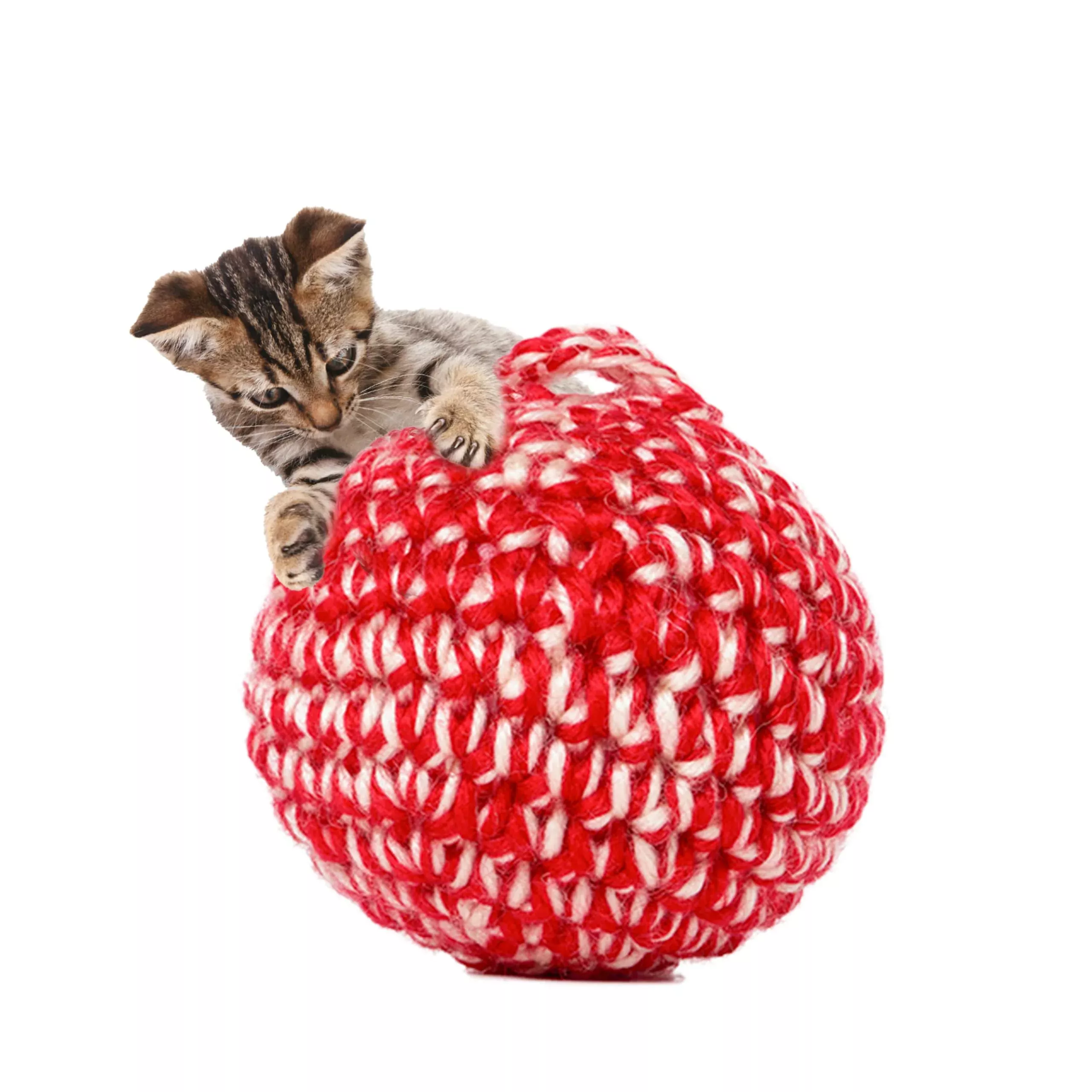 JAYU PET Red Cat Ball - Handmade Silvervine Cat Toy with Catnip, 2.7" W/Bell, Model RCB