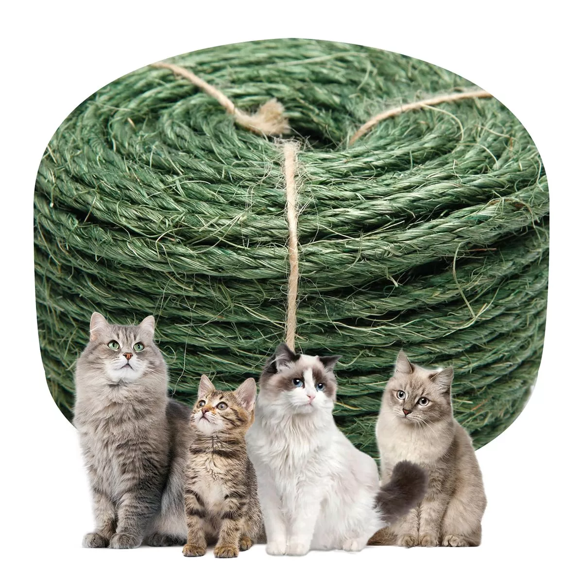 Juomid Green Sisal Rope for Cat Scratching Posts, 1/4 Inch x 164 Feet, Durable DIY Twine for Kittens and Furniture Repair